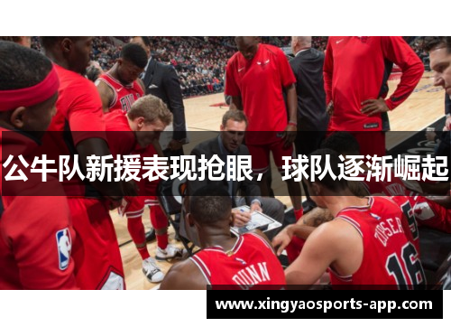 公牛队新援表现抢眼，球队逐渐崛起